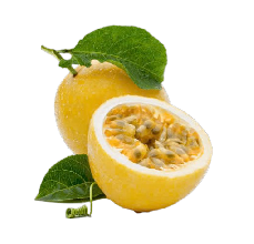 Yellow Passion Fruit (Golden Passion Fruit