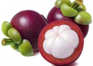 Mangosteen
