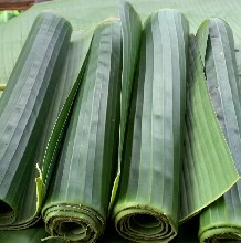 Banana Leaf