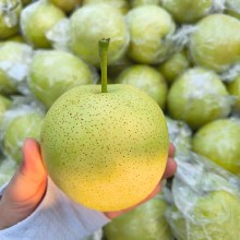 Niitaka Pear