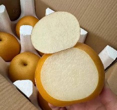 Qiuyue Pear