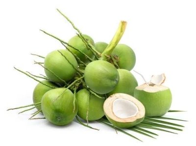 Fresh Coconut (Young Coconut)