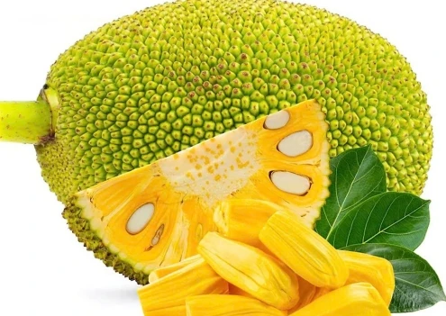 Yellow Jackfruit (Yellow Flesh)