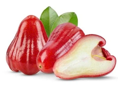 Wax Apple
